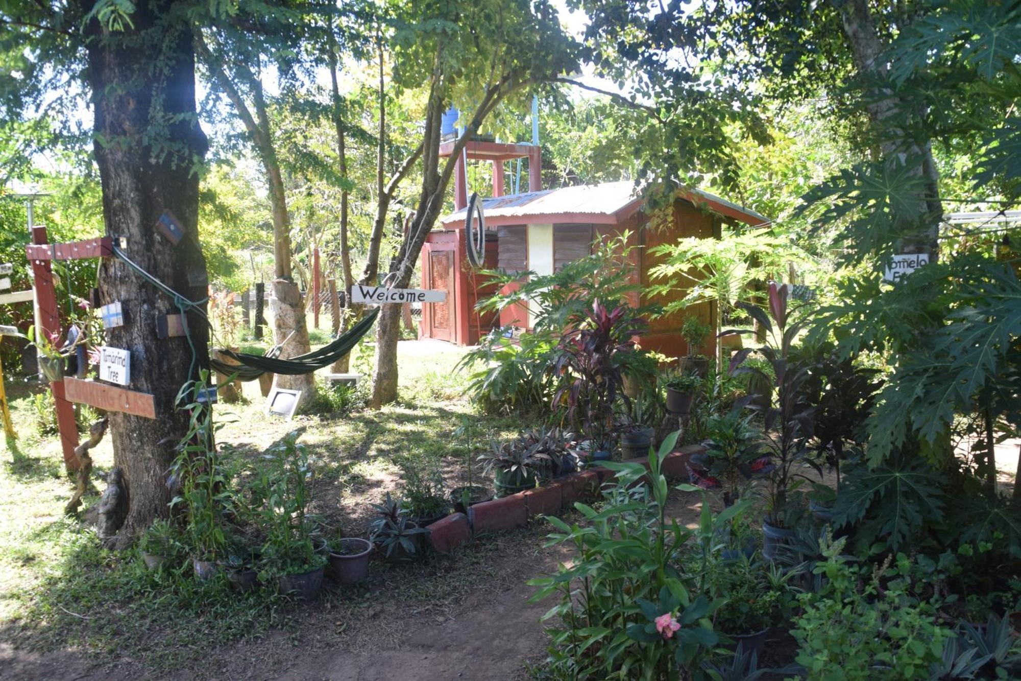 Don Som Riverside Guesthouse Ngoại thất bức ảnh